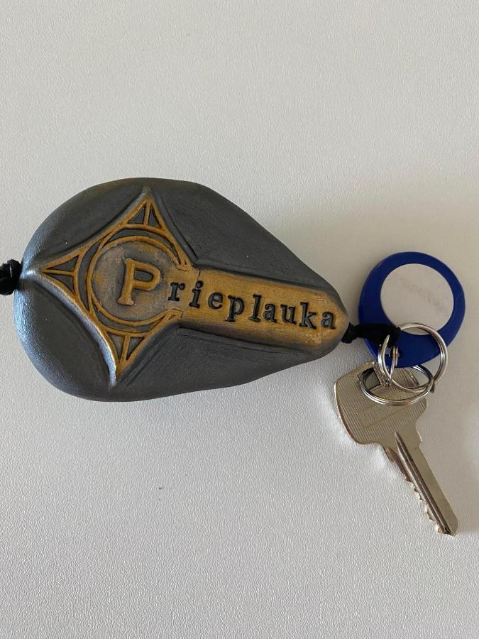 阿利图斯 Rezidencija "Prieplauka"旅舍 外观 照片